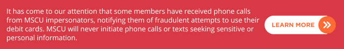 fraud alert (700 × 100 px)