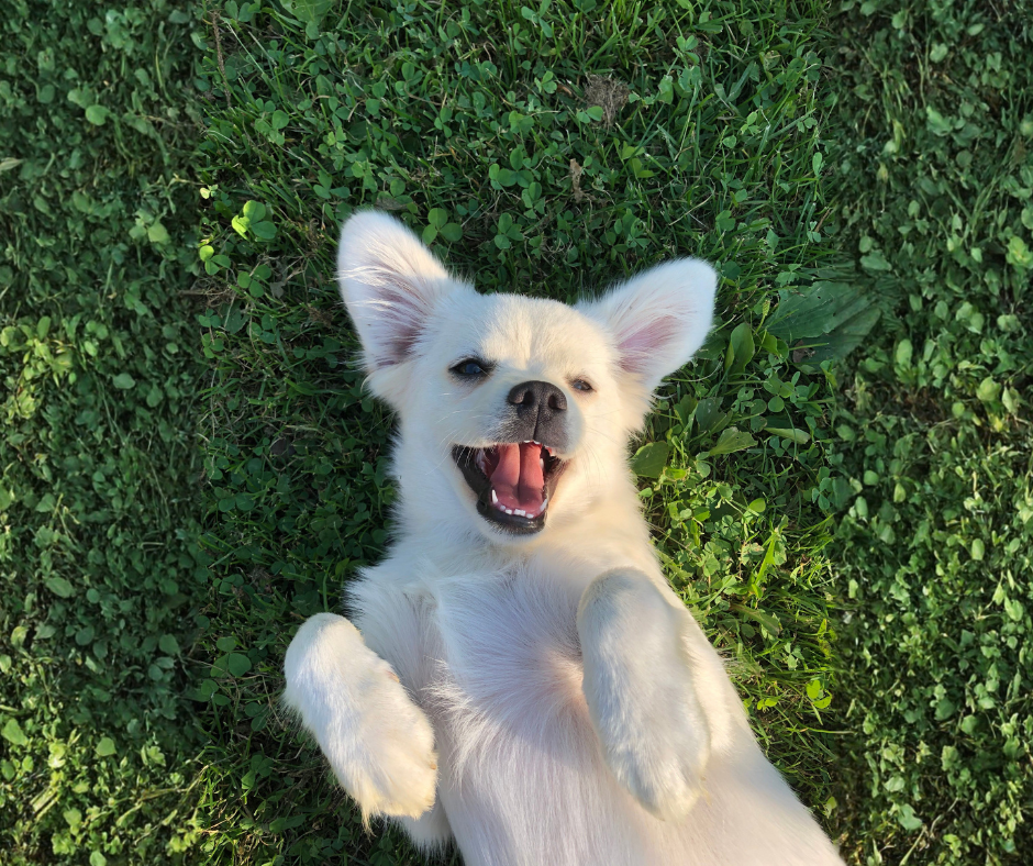 2027 Calendar Contest!