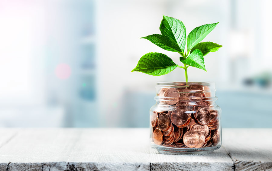 pennies in mason jar with plant growing out of it