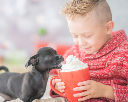 hot chocolate puppy